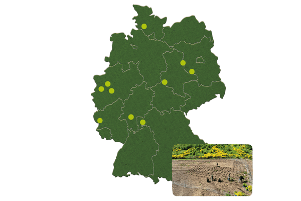 Baumpflanztour von PLANT-MY-TREE® in Deutschland